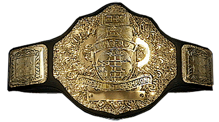 OCW TITLE